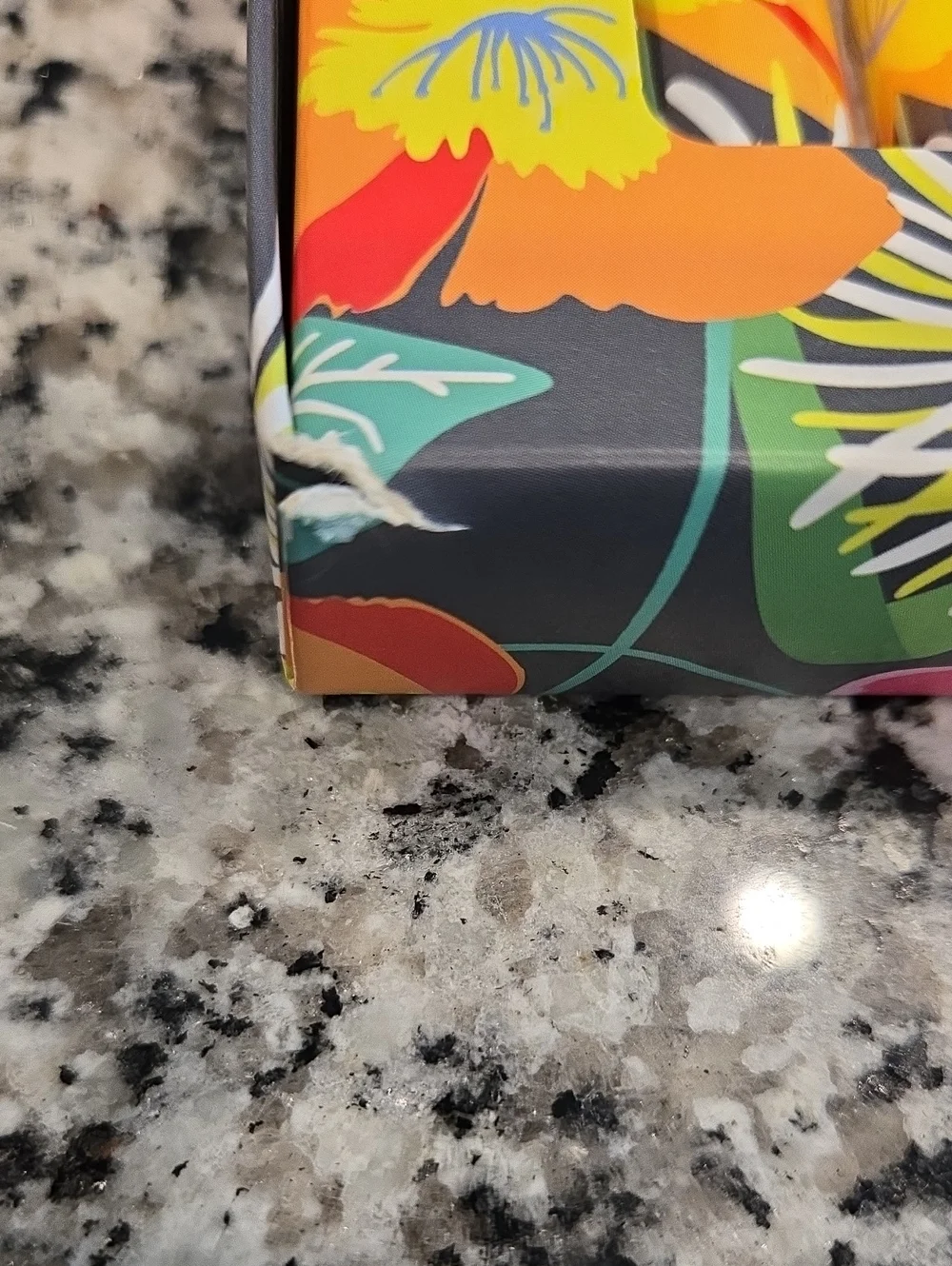 Vera Bradley like new